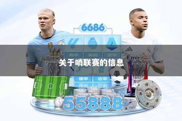 关于哨联赛的信息
