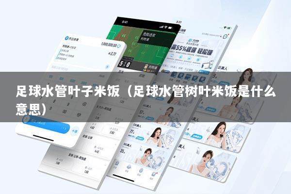 足球水管叶子米饭（足球水管树叶米饭是什么意思）