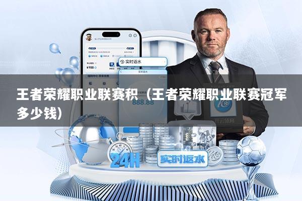 王者荣耀职业联赛积（王者荣耀职业联赛冠军多少钱）
