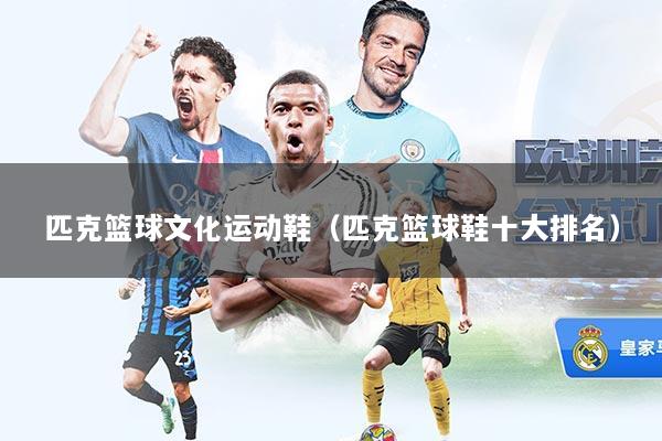 匹克篮球文化运动鞋(匹克篮球鞋十大排名)